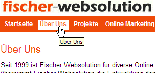 www.fischer-websolution.net